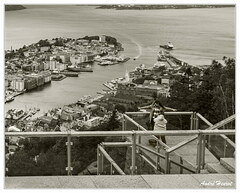 Bergen DSC 0923 N&amp;B 5x4