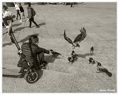 Corneilles DSC 0832 N&amp;B 5x4