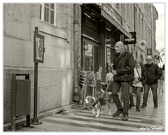 Passants&amp;Chien DSC 1685 N&amp;B 5x4