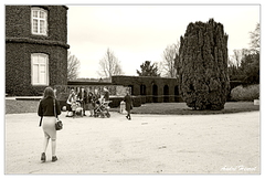 Domaine-Solvay Photographies DSC 3648 N&amp;B