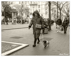 Nice Chien-Manteau DSC 0424 N&amp;B 5x4