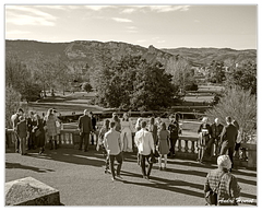 Valence Mariage DSC 9058 N&amp;B 5x4