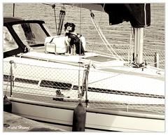 Aalborg Bateau-Chien DSC 0883 N&amp;B 5x4