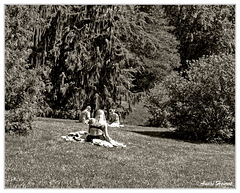 Bronzage Jardin-botanique DSC 0419 N&amp;B 5x4