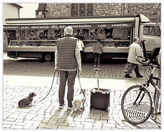 Paderborn Chiens-Marche DSC 0224 1200