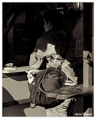 Spandau Chien-Bar DSC 0137 N&amp;B