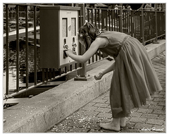 Burg-Spreewald Nourrissage DSC 0653 N&amp;B 5x4