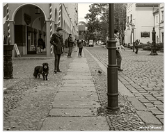 Berlin Chien-Dame-Pigeon DSC 0432 N&amp;B 5x4