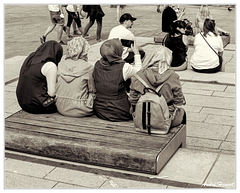 Fichus DSC5940 N&amp;B