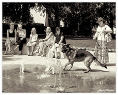 Iona&amp;M-C DSC7099 N&amp;B