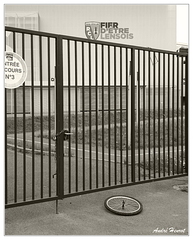 Lens Roue 20200716 093759 N&amp;B