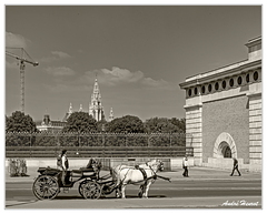 Vienne Heldenplatz DSC 5949 N&amp;B 5x4