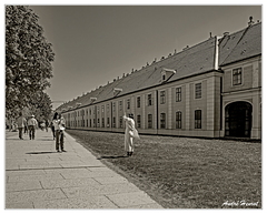 Vienne Schonbrunn DSC 6275 N&amp;B 5x4