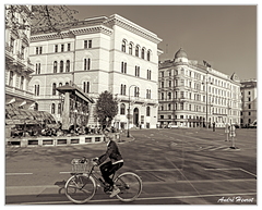 Vienne-Velo DSC 5824 N&amp;B