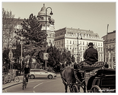 Vienne-Velo&amp;Chevaux DSC 5886 N&amp;B