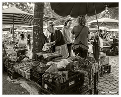 Barcelos Marche DSC 0281 N&amp;B 5x4