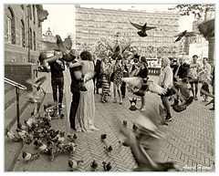 Copenhague Radhus-Mariage DSC 0487 N&amp;B 5x4