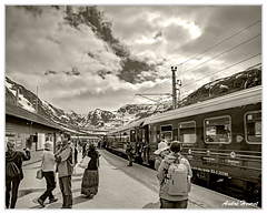 Myrdal Sur-le-quai DSC 3402 N&amp;B 5x4