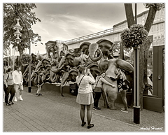 Tivoli DSC 0749 N&amp;B 5x4