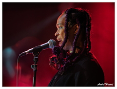 Tamara-Walcott DSC 6231 3x4