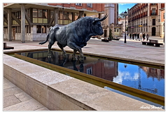 Burgos IMG 9174