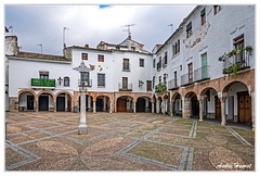 Zafra DSC 3754