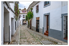 Zafra DSC 3755