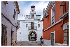 Zafra DSC 3758