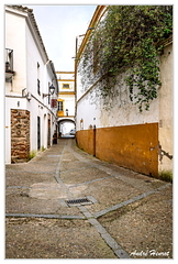 Zafra DSC 3760