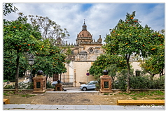 Jerez DSC 4023