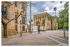 Jerez DSC 4024