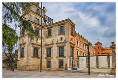 Jerez DSC 4025