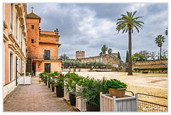 Jerez DSC 4026