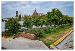 Jerez DSC 4030