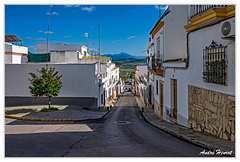 Villamartin DSC 4162