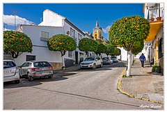 Villamartin DSC 4165