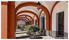 Villamartin IMG 9208