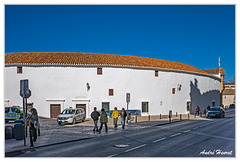 Ronda Arenes DSC 4232