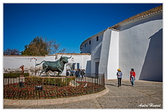 Ronda Arenes DSC 4245