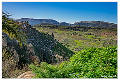 Ronda Falaise DSC 4266