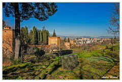 Grenade-Alhambra DSC 4812