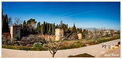 Grenade-Alhambra DSC 4821-29-2