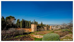 Grenade-Alhambra DSC 4814-20
