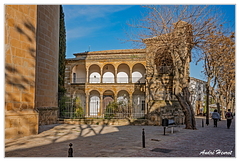 Ubeda DSC 5156