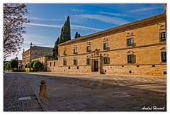 Ubeda DSC 5166