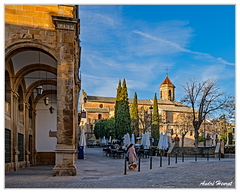 Ubeda DSC 5190