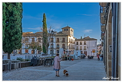 Ubeda DSC 5200