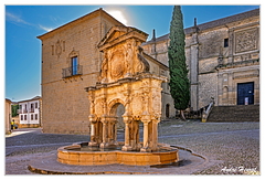 Baeza DSC 5036