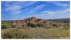 De Consuegra à Madrid