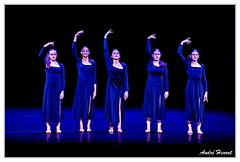CHAM Danse DSC 5527